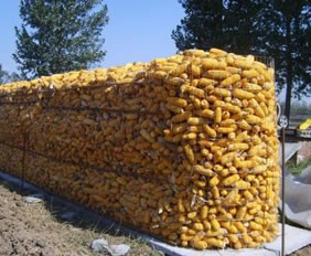 溫州圈玉米電焊網使用案例